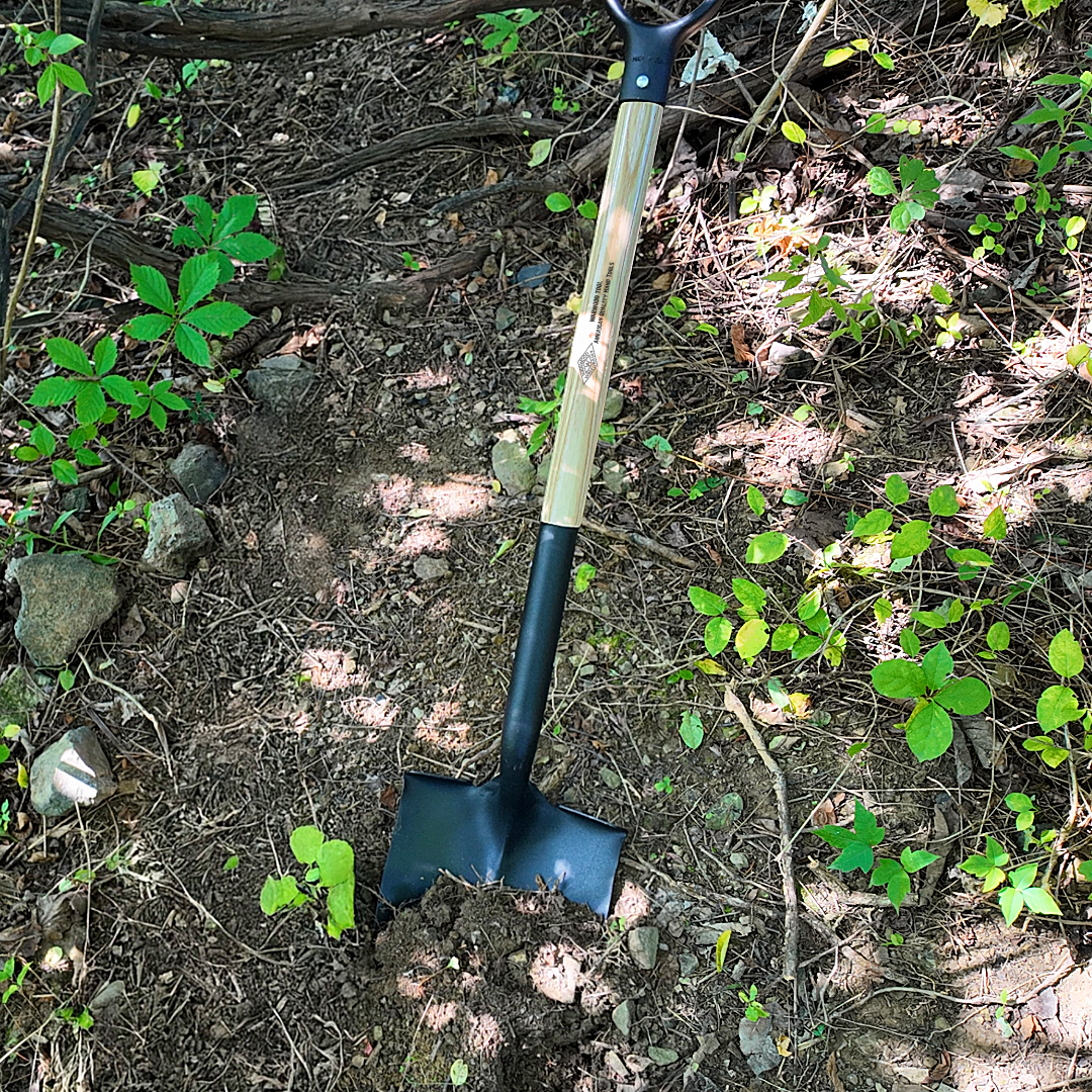 Round Point Shovel - D-Grip - Wood Shaft