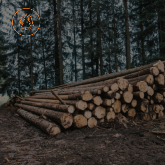 forestry