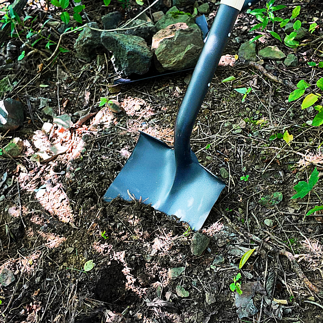 Round Point Shovel - D-Grip - Wood Shaft