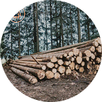 Forestry